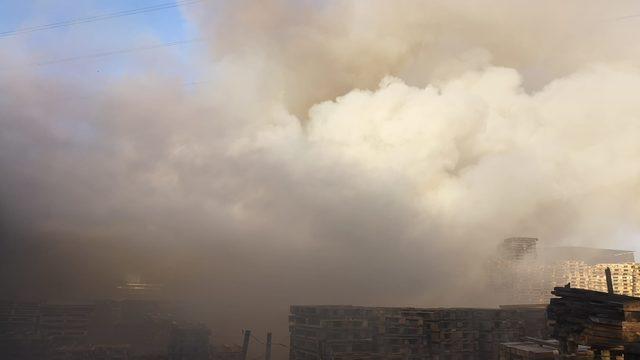 Sakarya’da ahşap palet fabrikasında yangın (2)