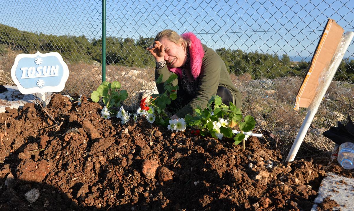 Depremde kalp krizi ge&ccedil;iren k&ouml;pek Mersin'de toprağa verildi