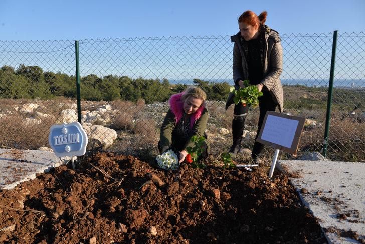Depremde kalp krizi geçiren köpek Mersin'de toprağa verildi G2