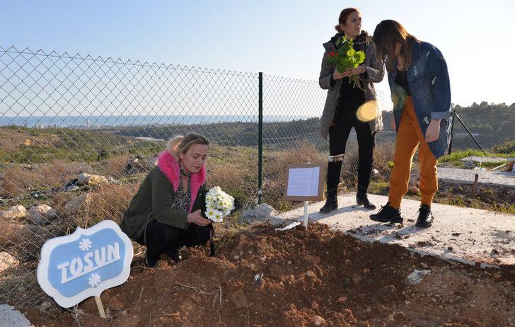 Depremde kalp krizi geçiren köpek Mersin'de toprağa verildi G3