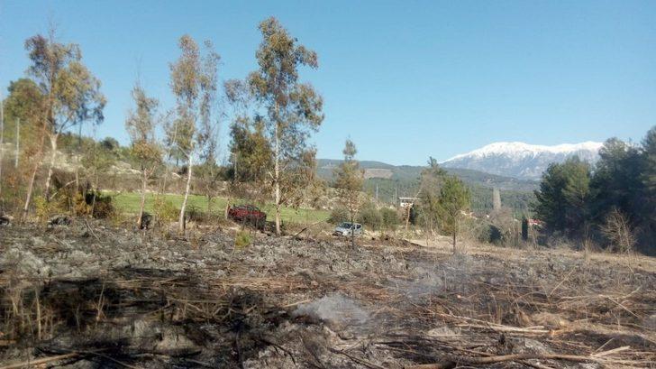 Seydikemer’de yanmak üzere olan kaplumbağayı itfaiye ekipleri kurtardı G2