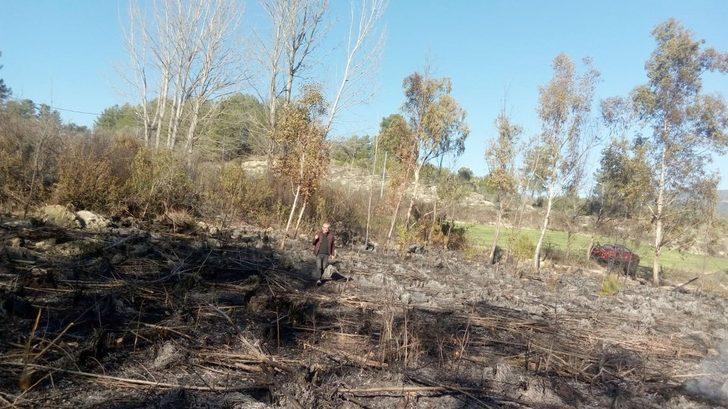 Seydikemer’de yanmak üzere olan kaplumbağayı itfaiye ekipleri kurtardı G3