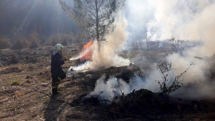 Seydikemer’de yanmak üzere olan kaplumbağayı itfaiye ekipleri kurtardı G4