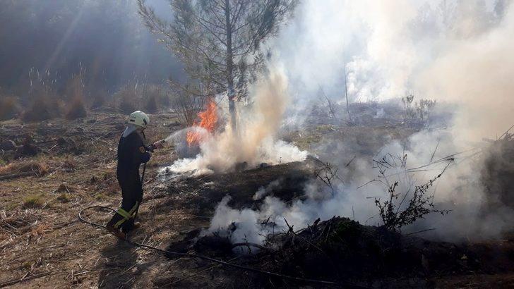 Seydikemer’de yanmak üzere olan kaplumbağayı itfaiye ekipleri kurtardı G5