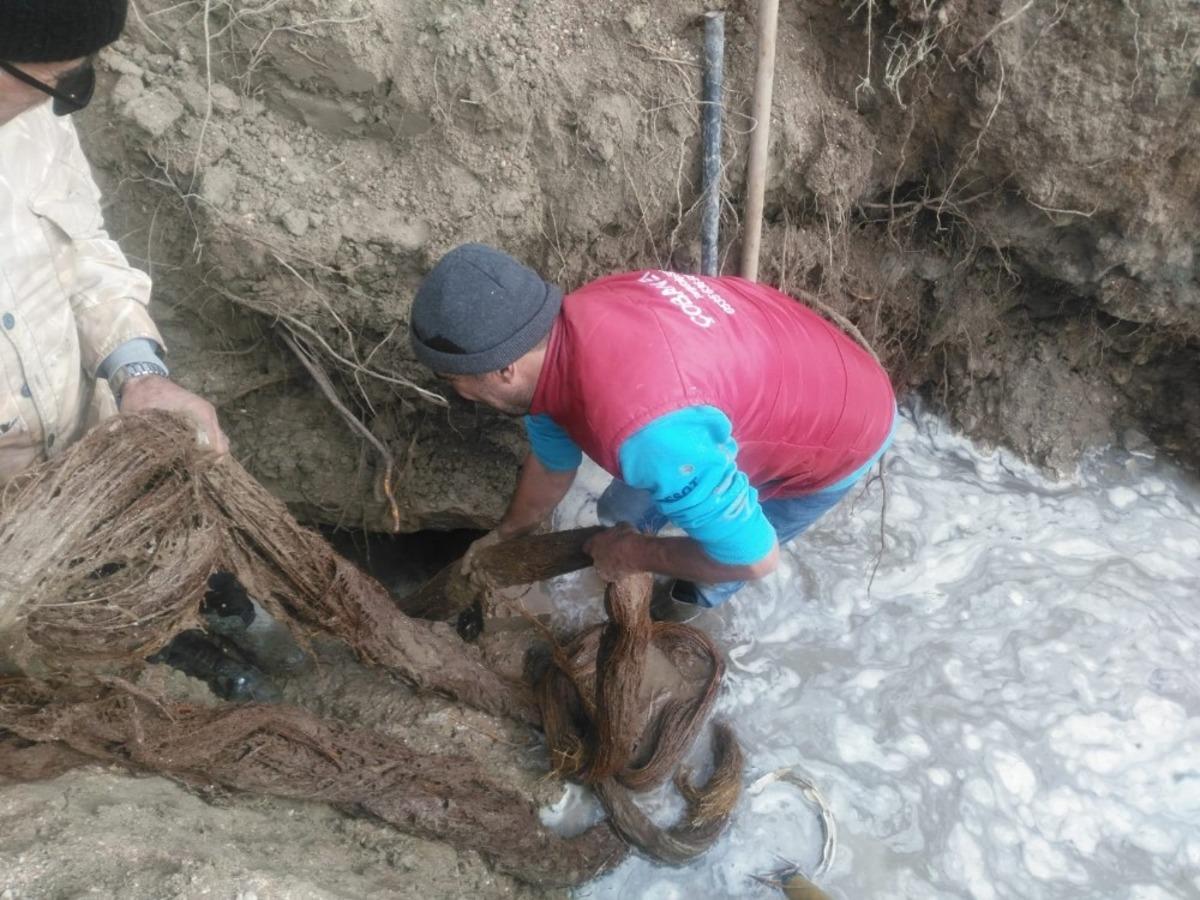 Manisa'da i&ccedil;me suyu hattından 20 metrelik ağa&ccedil; k&ouml;k&uuml; &ccedil;ıktı