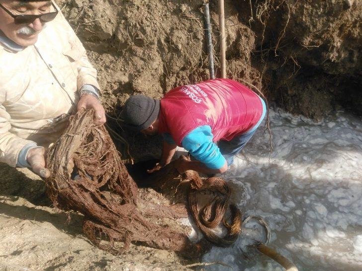 Manisa'da içme suyu hattından 20 metrelik ağaç kökü çıktı G1