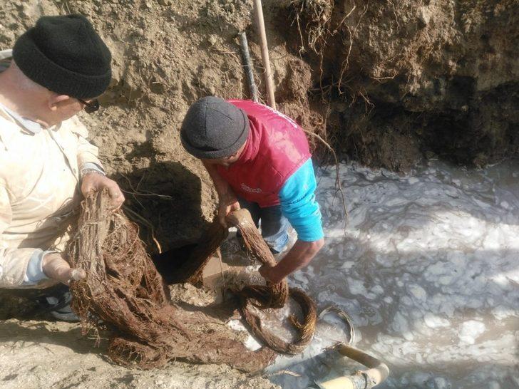 Manisa'da içme suyu hattından 20 metrelik ağaç kökü çıktı G3