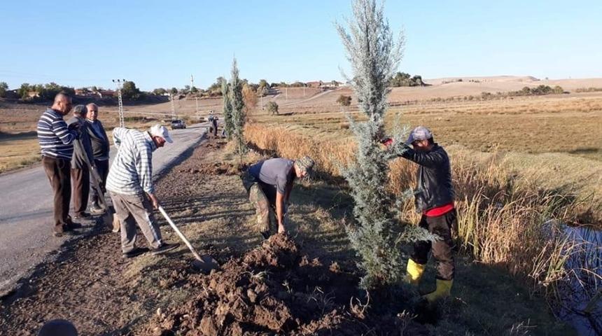 K&ouml;y halkı kendi imkanlarıyla 300 fidan dikti