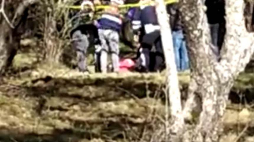 Kemerle ağaca asılı erkek cesedi bulundu