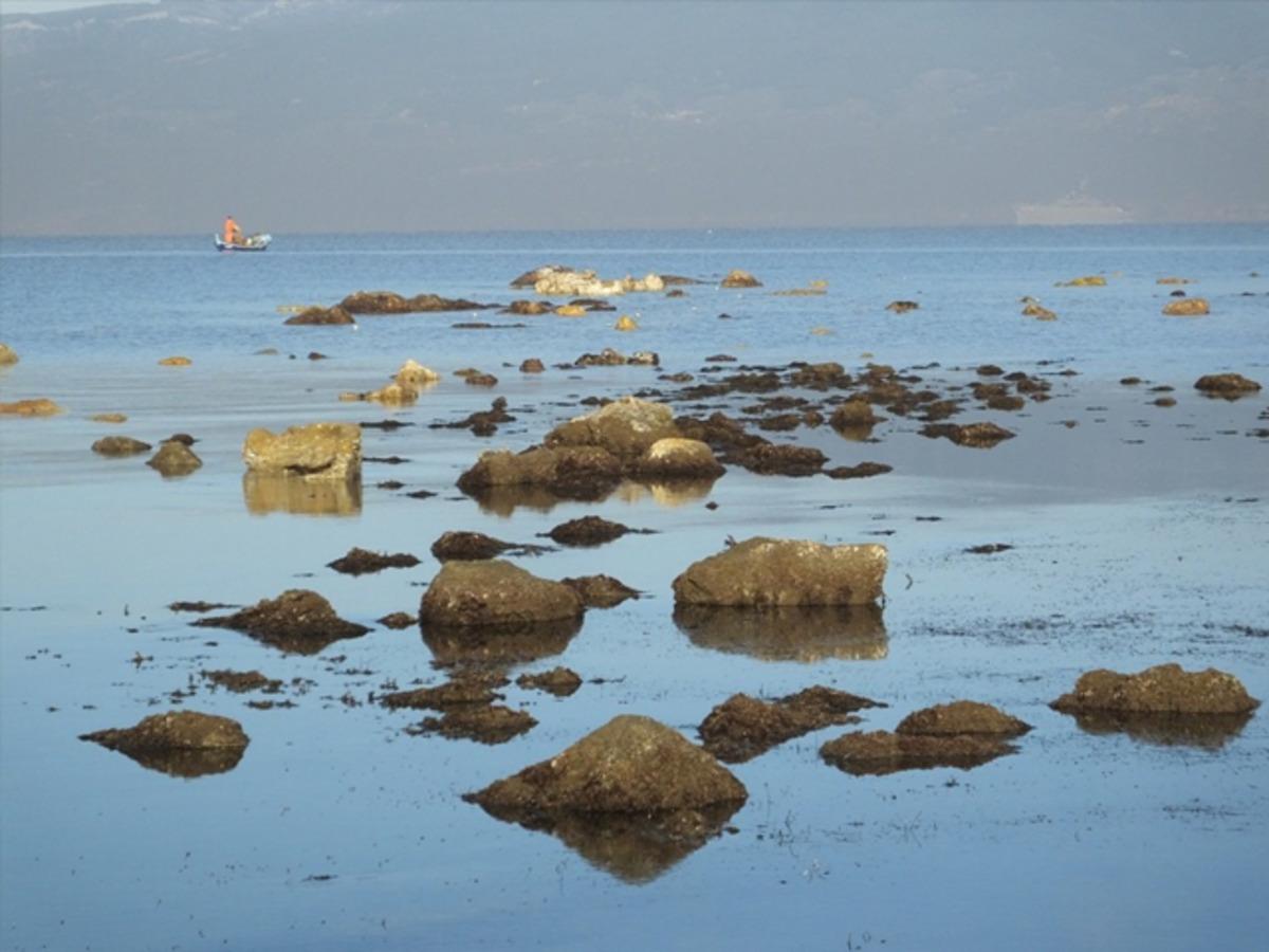 Elazığ'daki depremin ardından Balıkesir'de deniz &ccedil;ekildi! 