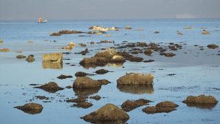 Elazığ'daki depremin ardından Balıkesir'de deniz çekildi! 