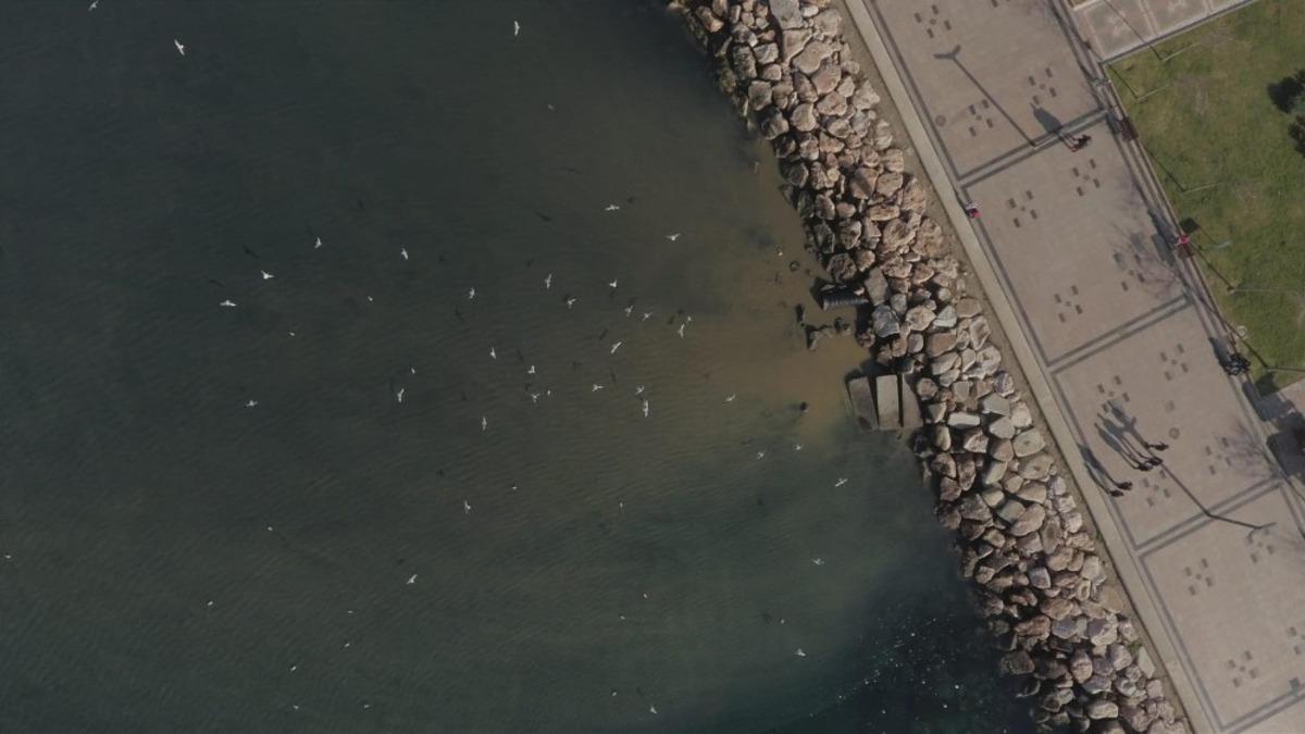 Bandırma K&ouml;rfezi&rsquo;nde kirlilik son bulacak