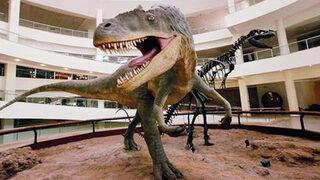 Dinozor maketlerine 324 bin 500 lira