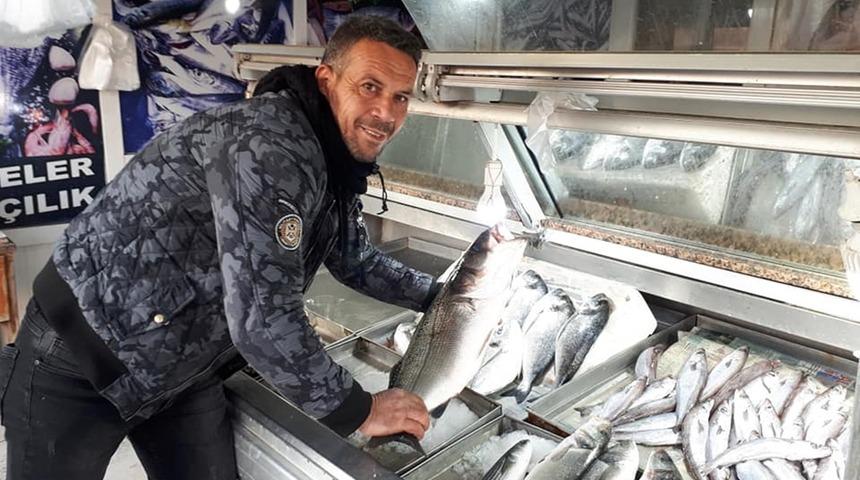 Gelibolu'da oltayla 6 kiloluk levrek yakaladı