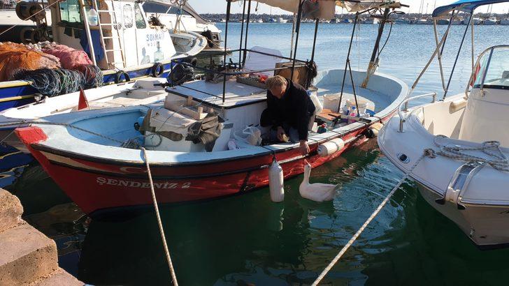 'Vakvak', Küçükkuyu'nun maskotu oldu G2