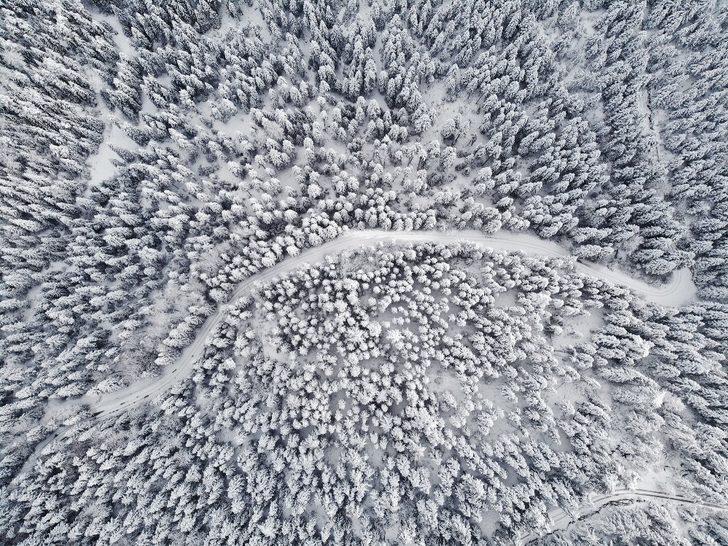 Karla kaplı ormanda drone ile geyikleri böyle görüntülediler G3