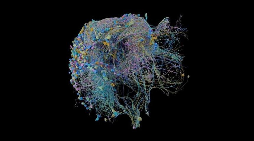 Bug&uuml;ne kadarki en b&uuml;y&uuml;k ve ayrıntılı harita!