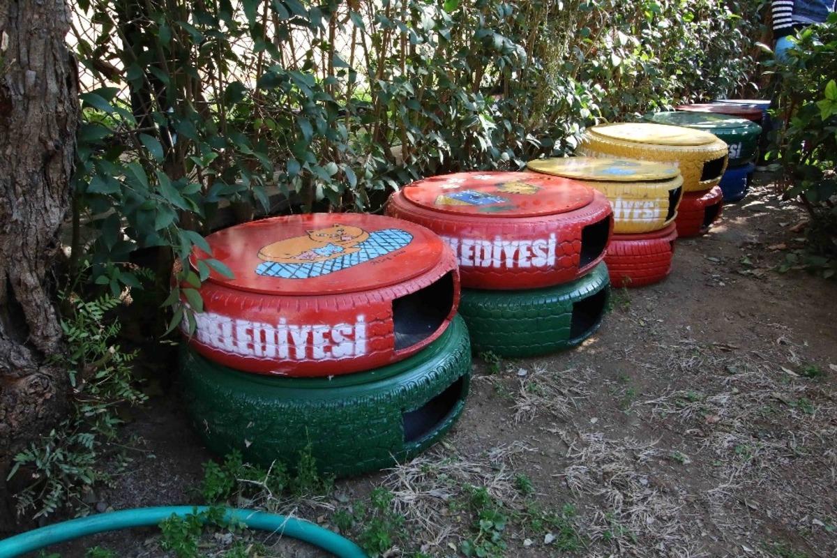 Bayraklı&rsquo;da kedi evleri yenilendi