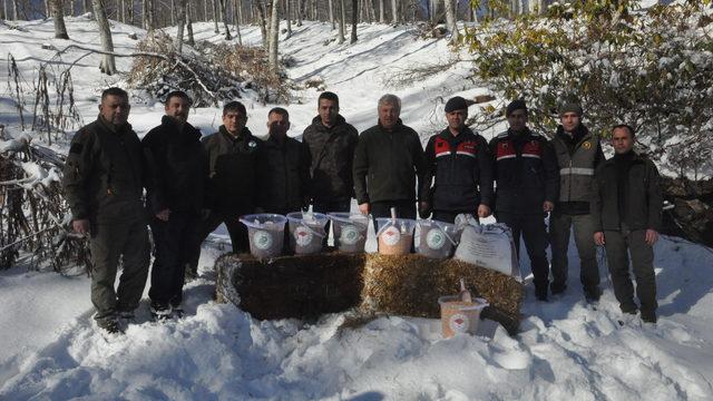 Yaban hayvanları için doğaya yem bırakıldı