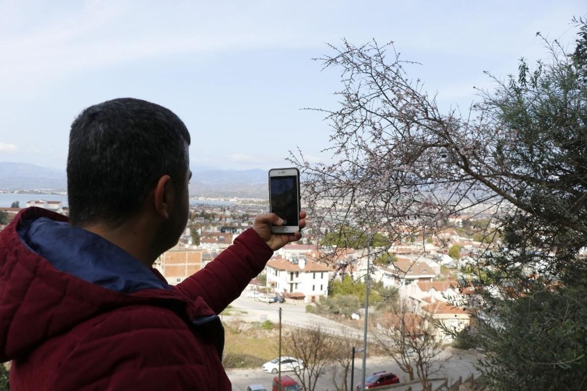 Fethiye&rsquo;de bademler &ccedil;i&ccedil;ek a&ccedil;tı