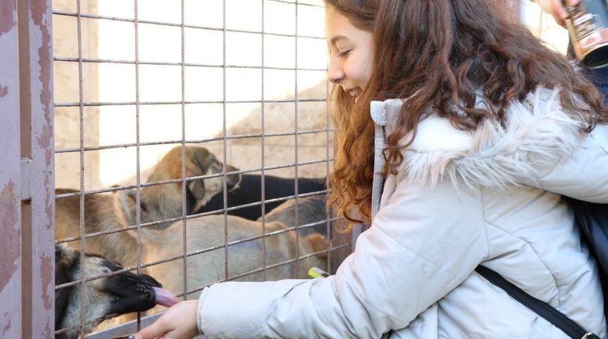 Sokak hayvanlarını sahiplendirme rekoru kırıldı