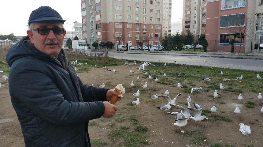 Her sabah ilk işi martıları doyurmak