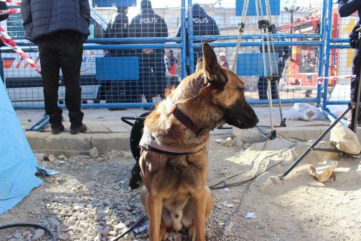 Dilek Apartmanı’nda 5 kişiye Altar sayesinde ulaşıldı G4