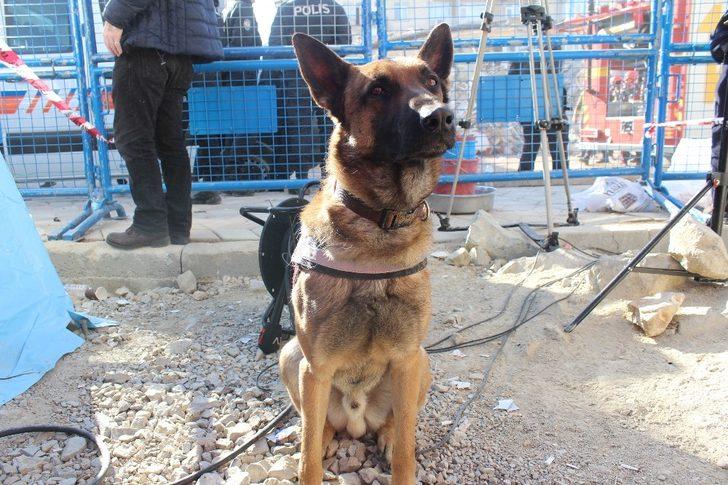 Dilek Apartmanı’nda 5 kişiye Altar sayesinde ulaşıldı G5