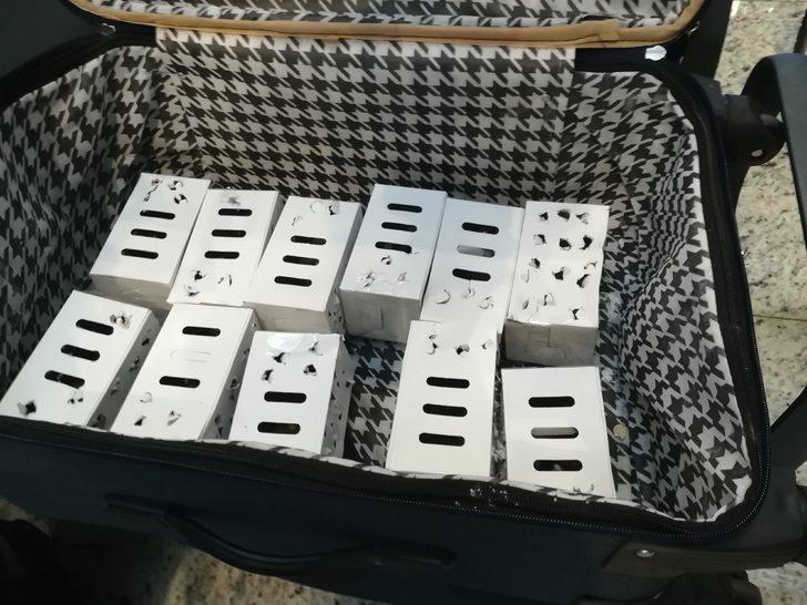 İstanbul Havalimanı'nda 'saka kuşu' operasyonu!  95 bin lira ceza G1