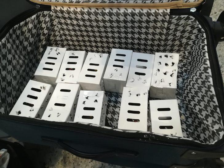 İstanbul Havalimanı'nda 'saka kuşu' operasyonu!  95 bin lira ceza G2