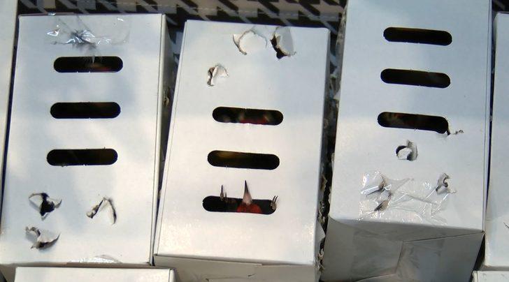 İstanbul Havalimanı'nda 'saka kuşu' operasyonu!  95 bin lira ceza G4