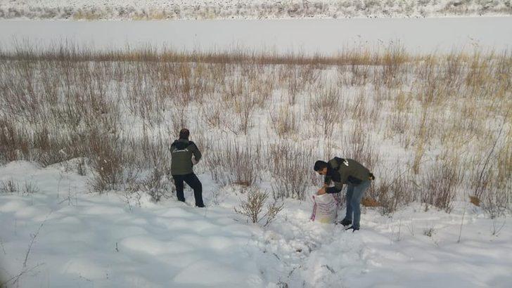 Muş’ta yaban hayvanlarına yem desteği G1