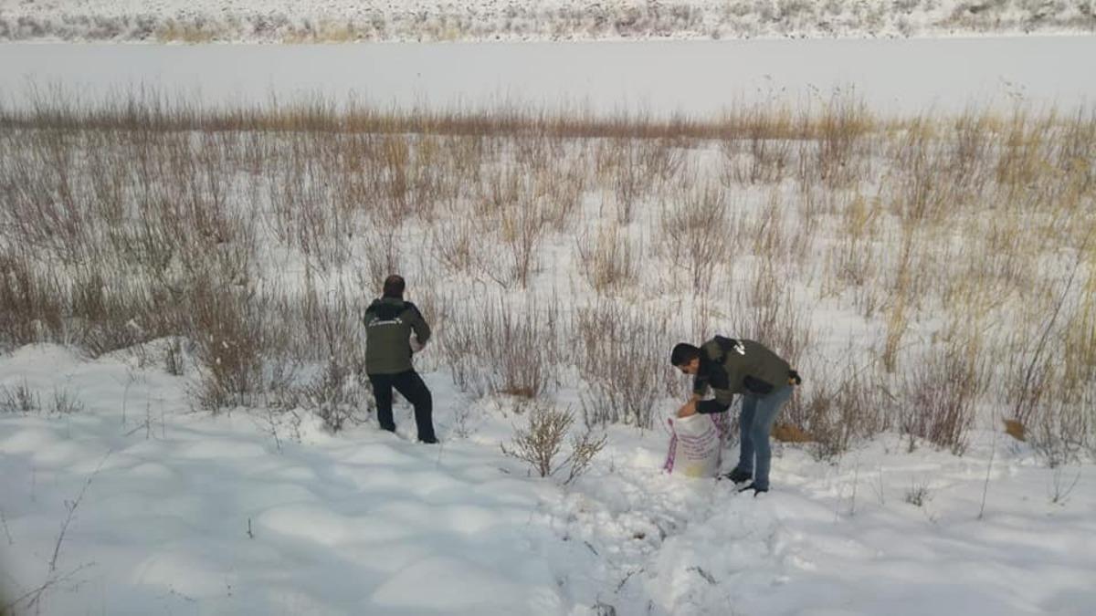 Muş&rsquo;ta yaban hayvanlarına yem desteği