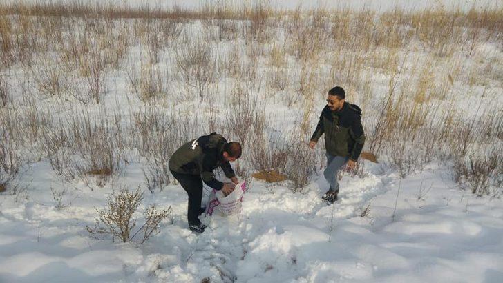 Muş’ta yaban hayvanlarına yem desteği G3
