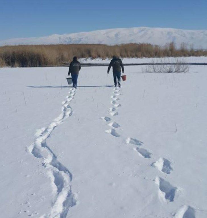 Van’da yaban hayvanlarına yem desteği G4