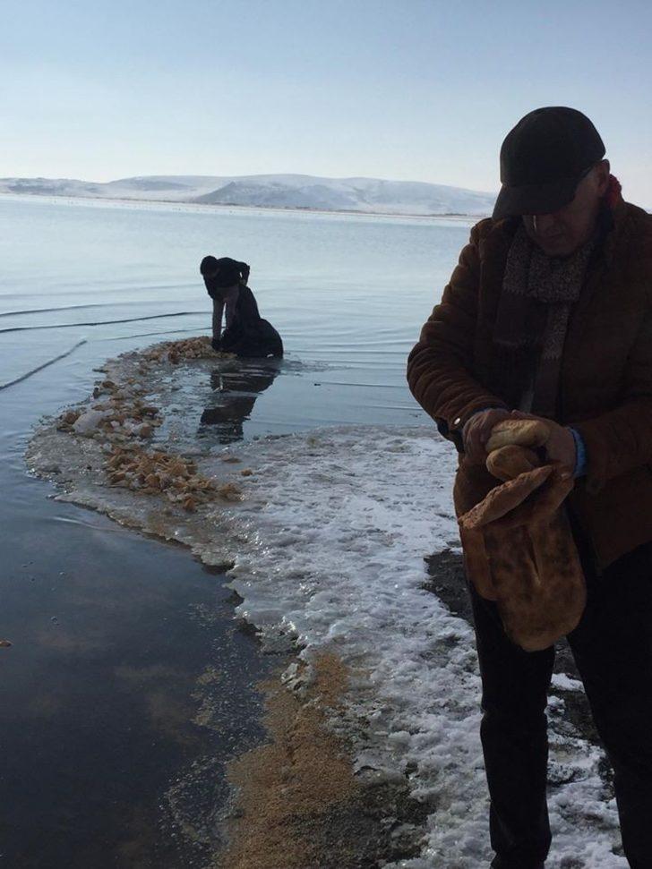 Van’da yaban hayvanlarına yem desteği G5