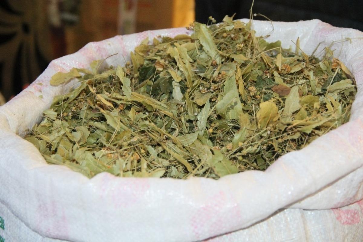 Kış aylarının vazge&ccedil;ilmezi ıhlamur