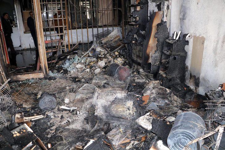 Yozgat'taki petshopta feci yangın! Kuşlar telef oldu G1