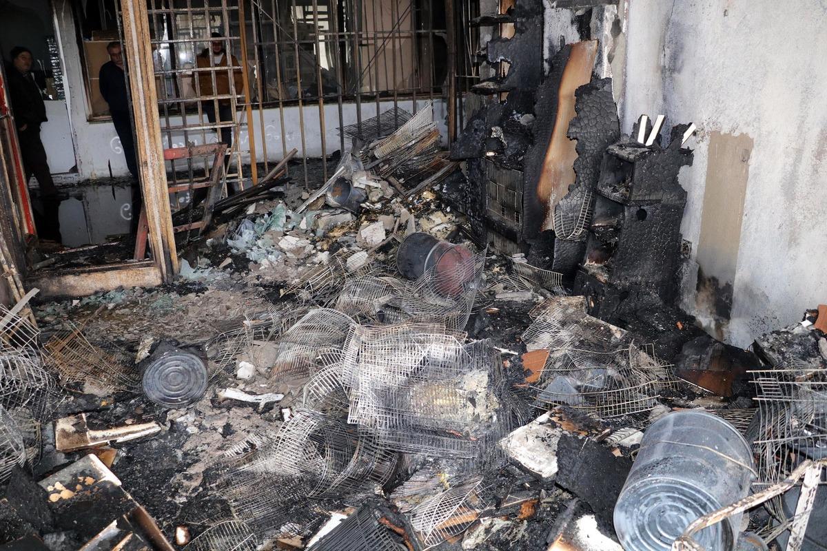 Yozgat'taki petshopta feci yangın! Kuşlar telef oldu