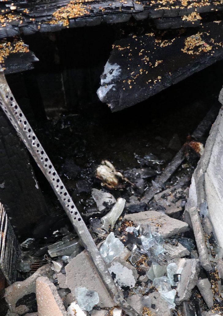 Yozgat'taki petshopta feci yangın! Kuşlar telef oldu G2