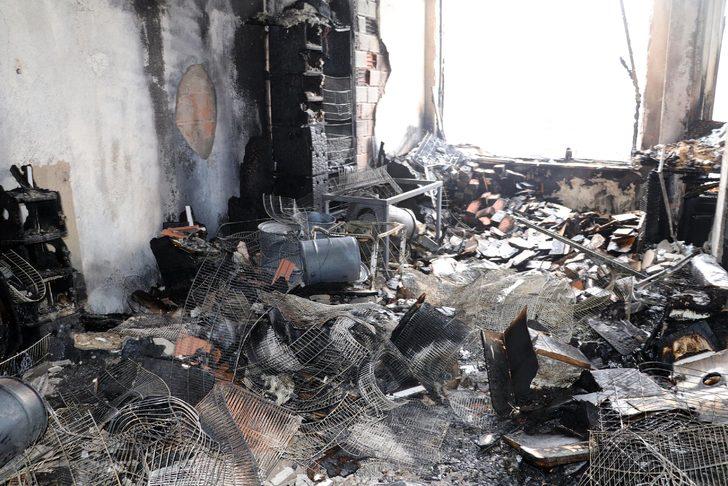 Yozgat'taki petshopta feci yangın! Kuşlar telef oldu G4