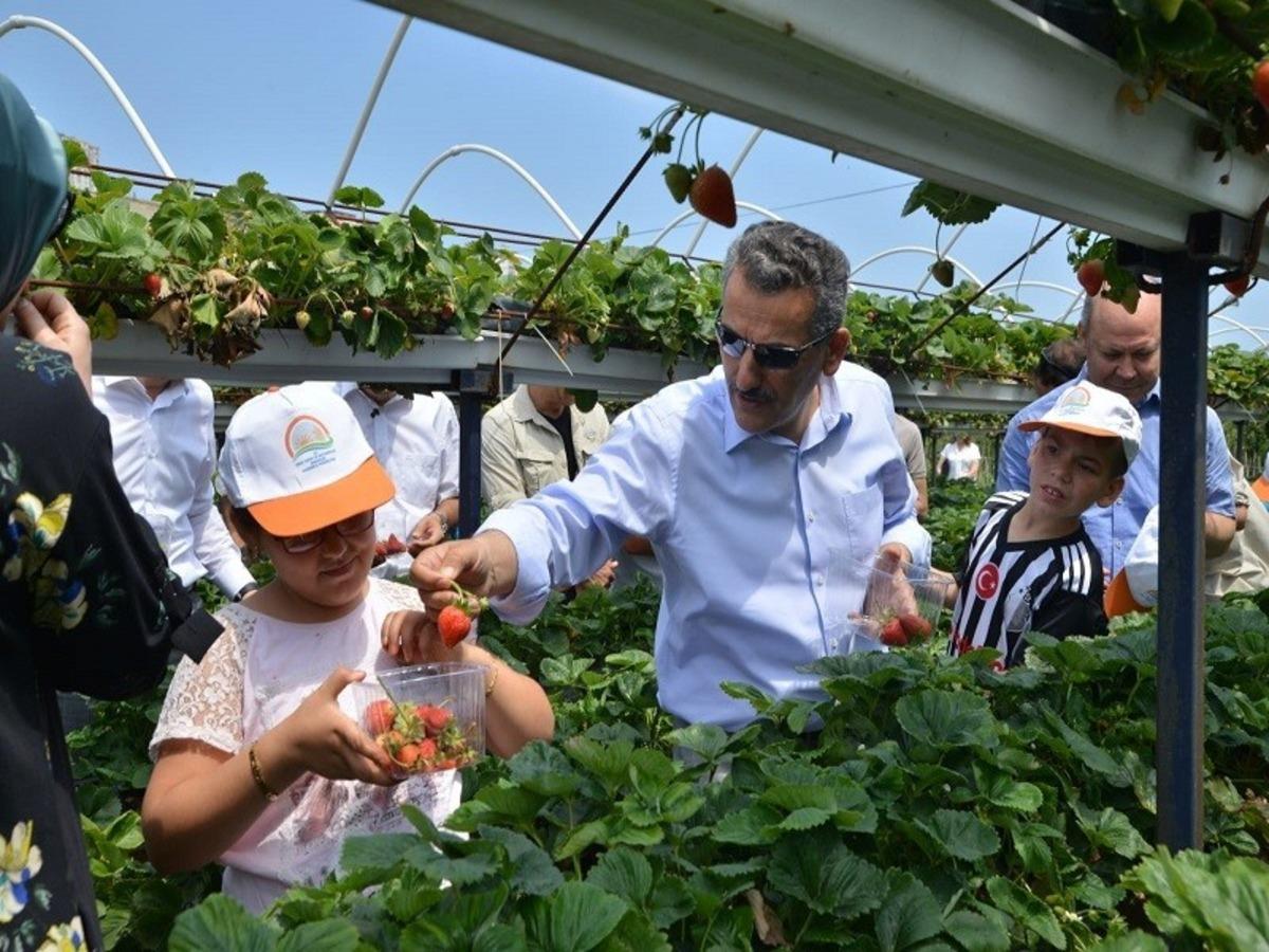 Samsun &ccedil;ift&ccedil;isine 2019&rsquo;da 303 milyon TL destek