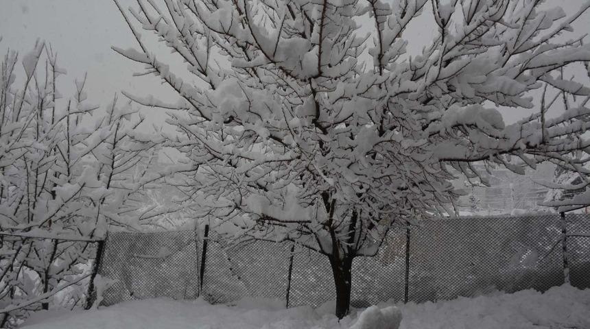 Hakkari&rsquo;de y&uuml;zlerce yerleşim yeri ulaşıma a&ccedil;ıldı