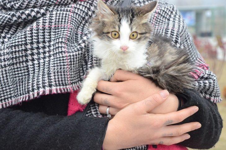Tek ayağı olmayan kediyi sahiplendi G2
