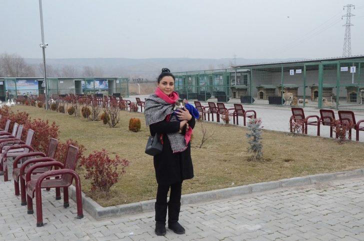 Tek ayağı olmayan kediyi sahiplendi G3