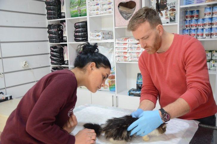 Tek ayağı olmayan kediyi sahiplendi G4