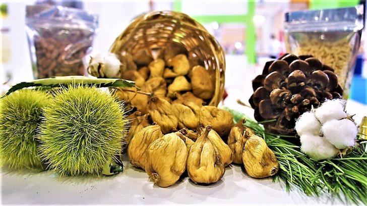 Aydın incir, kestane, yağlık zeytin ve kerevizde liderliğini korudu G1