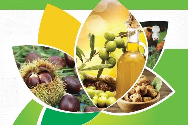 Aydın incir, kestane, yağlık zeytin ve kerevizde liderliğini korudu G2