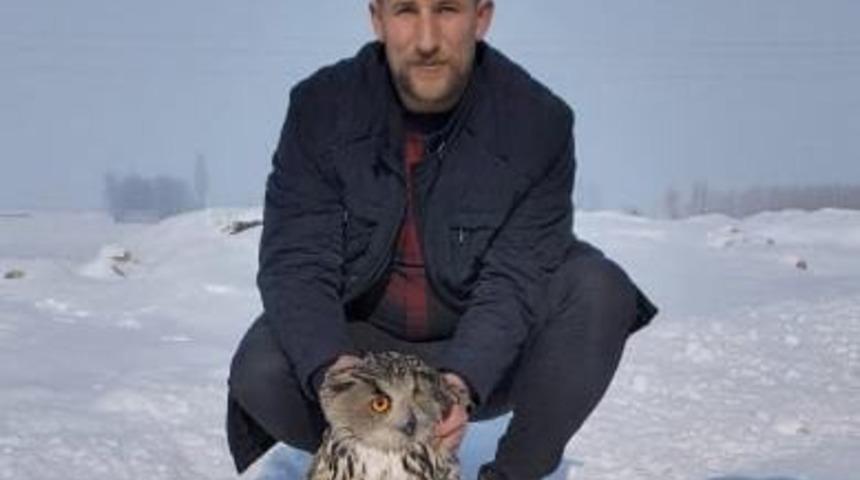 Yaralı Puhu, tedavi altına alındı