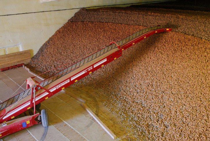 Konya Şeker'den patates ve soğan üreticisine 107 milyon ödeme G3